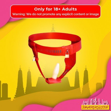 Chastity Lock Device for Women BDSM-002