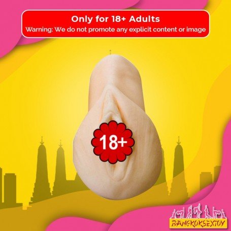 Pocket Pal V2 MMT-016