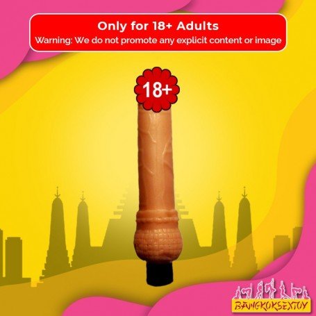Mr. Dong Realistic Vibrator RSV-017
